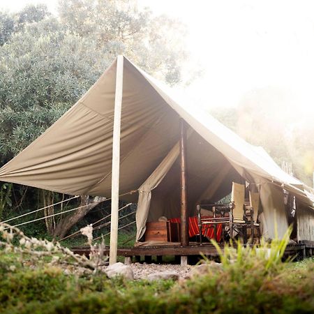 Quatermain'S 1920'S Safari Camp - Amakhala Game Reserve Exterior foto