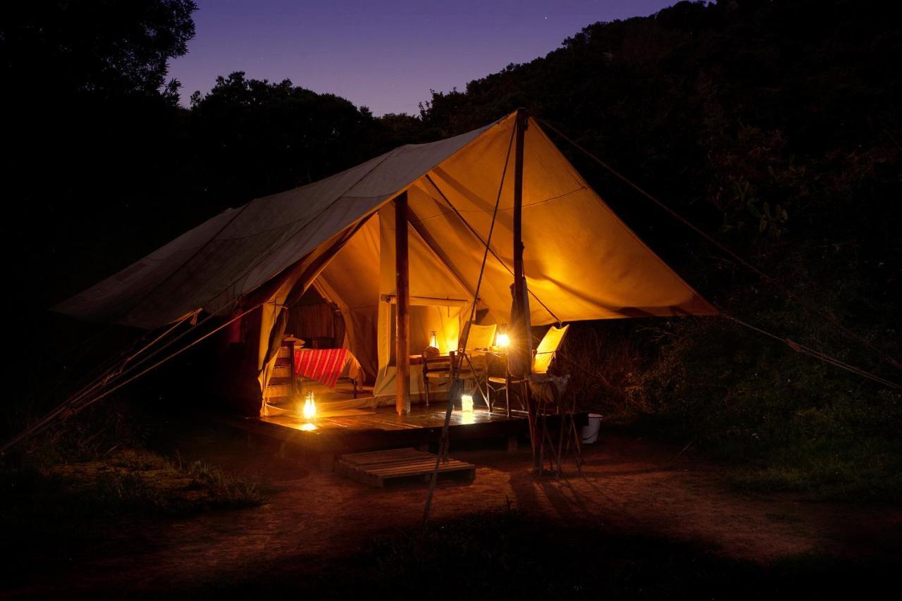 Quatermain'S 1920'S Safari Camp - Amakhala Game Reserve Exterior foto