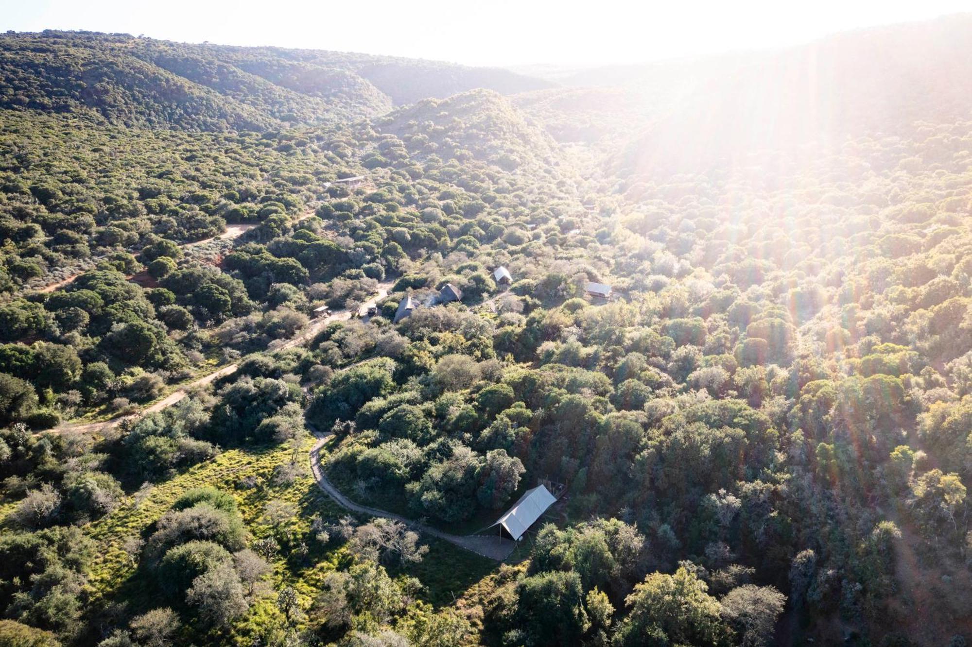 Quatermain'S 1920'S Safari Camp - Amakhala Game Reserve Exterior foto