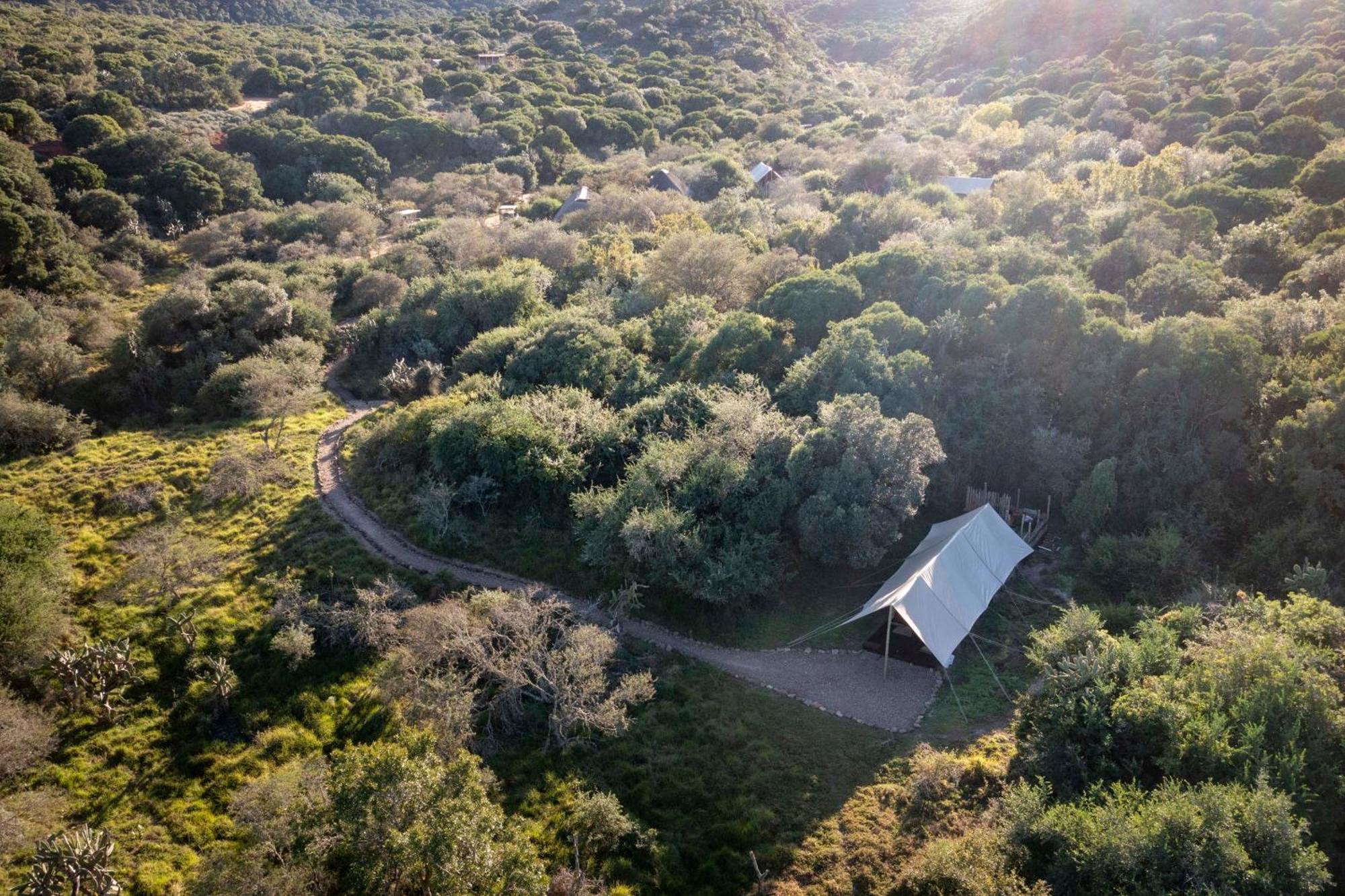 Quatermain'S 1920'S Safari Camp - Amakhala Game Reserve Exterior foto