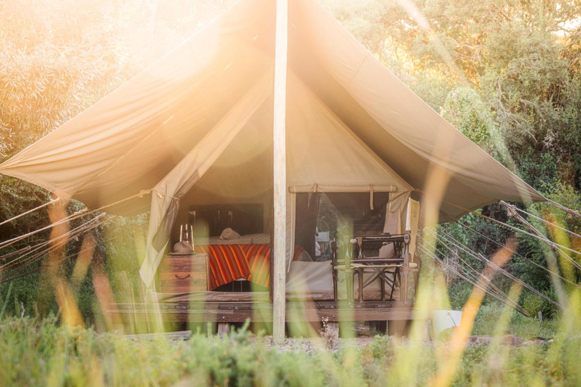 Quatermain'S 1920'S Safari Camp - Amakhala Game Reserve Exterior foto